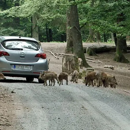 Landhof Sonne 公寓 Sabershausen