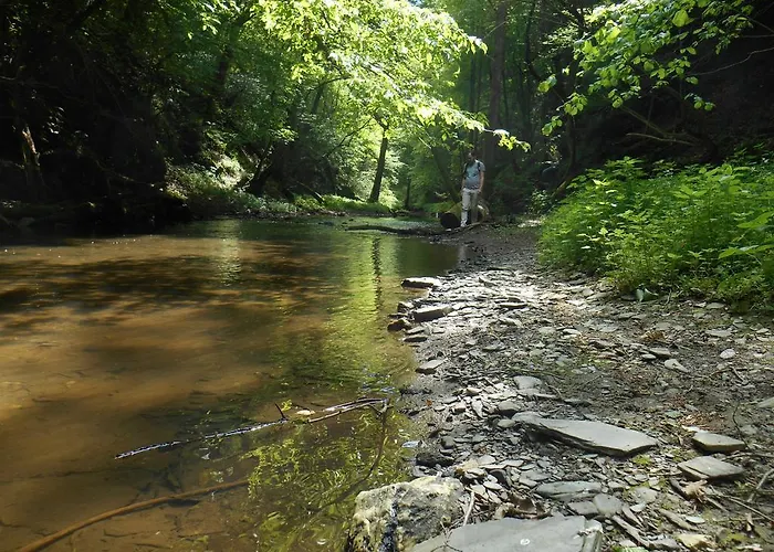 Apartament Landhof Sonne Sabershausen